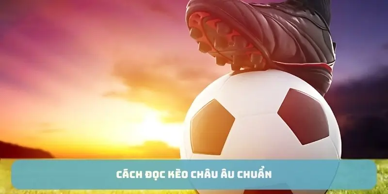 Cách đọc kèo châu âu chuẩn